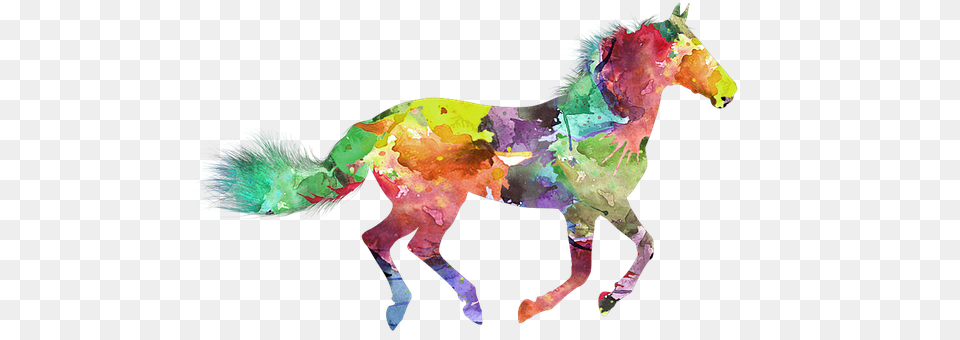 Horse Animal, Mammal, Person Free Png
