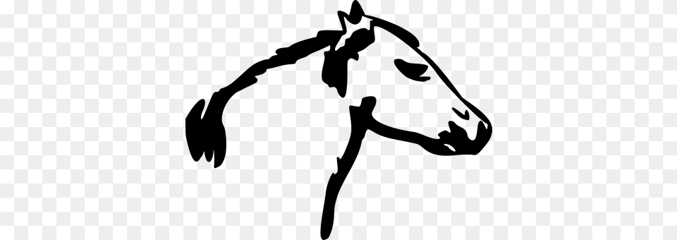 Horse Gray Png
