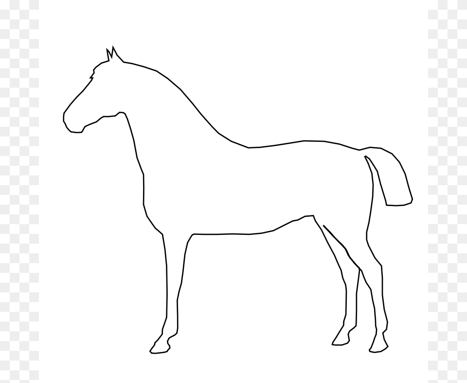 Horse, Animal, Mammal, Colt Horse, Art Free Png