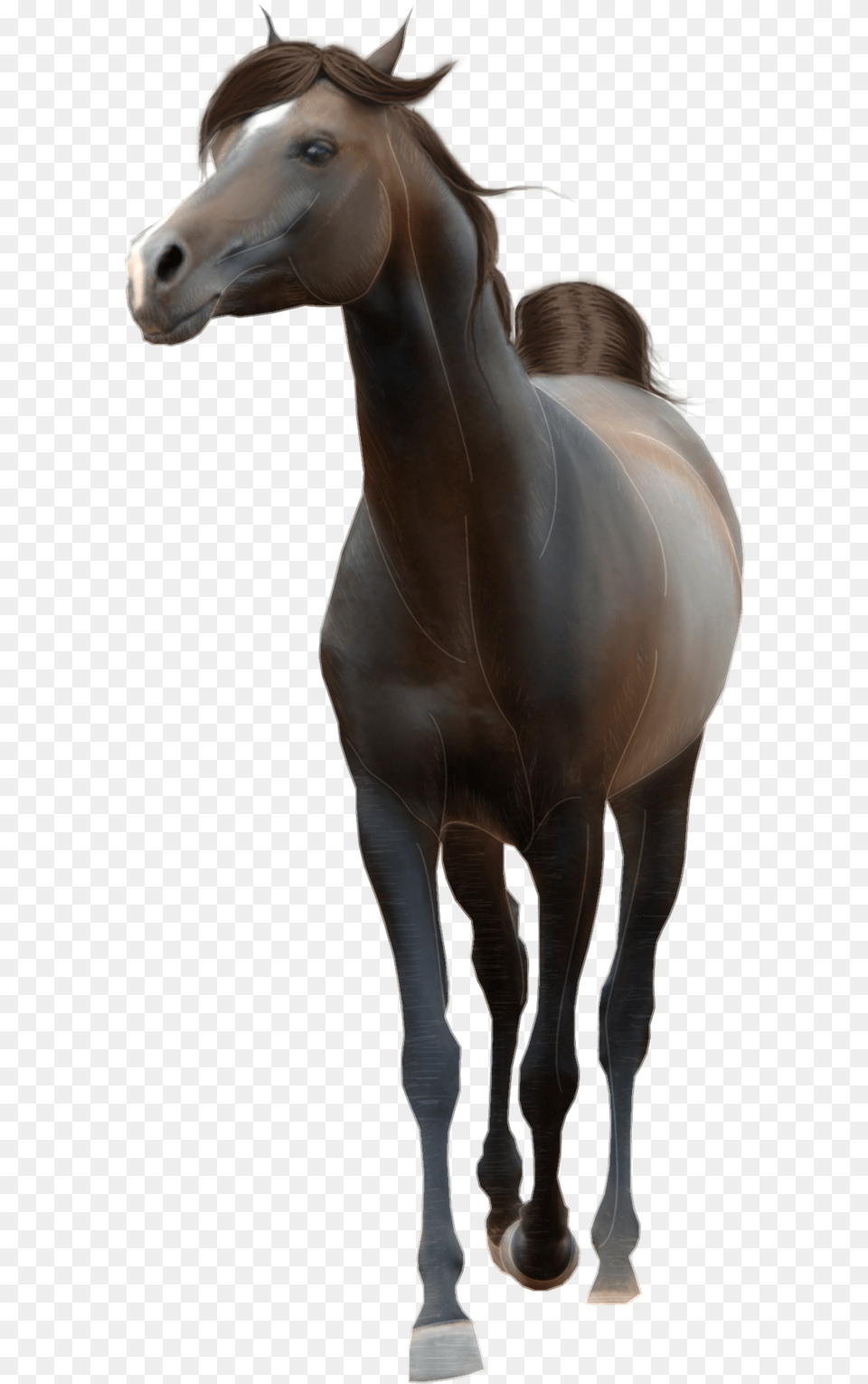 Horse, Animal, Colt Horse, Mammal Free Png Download