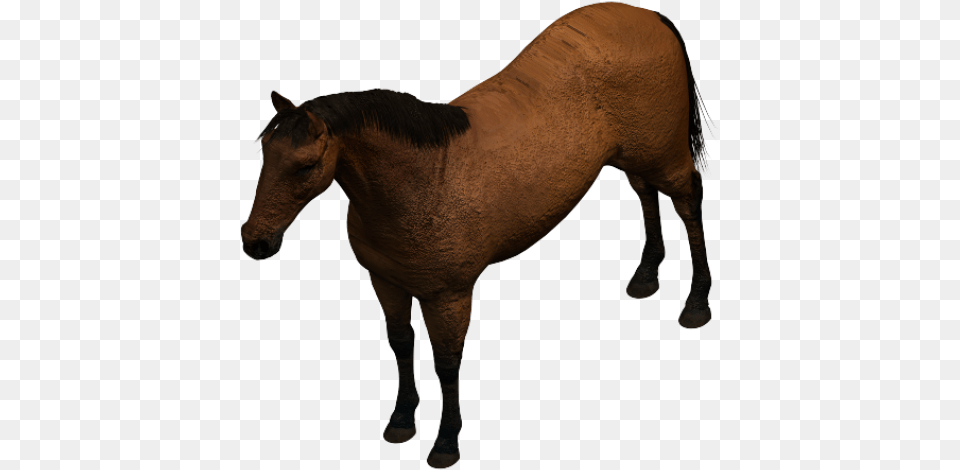 Horse 3ds Max Model Revit Horse, Animal, Colt Horse, Mammal Free Png