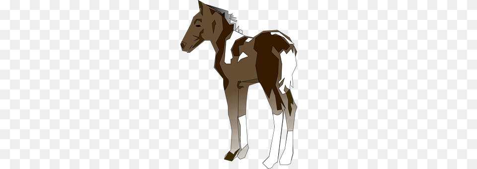 Horse Animal, Colt Horse, Mammal, Foal Free Png