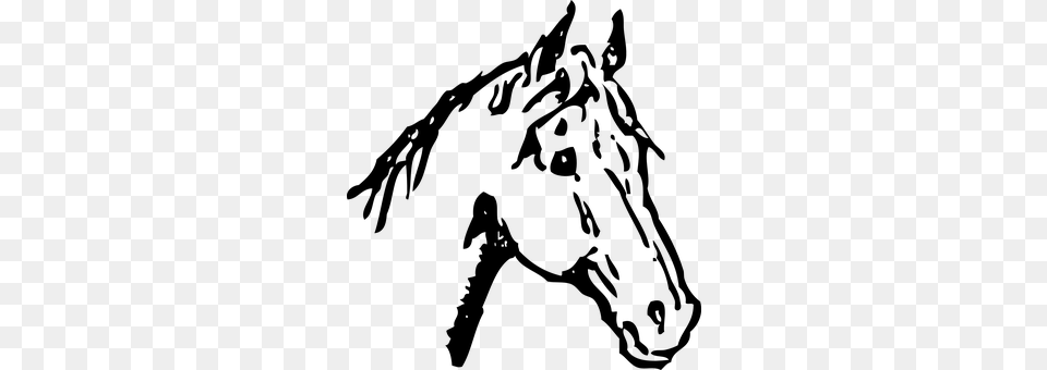 Horse Gray Free Png