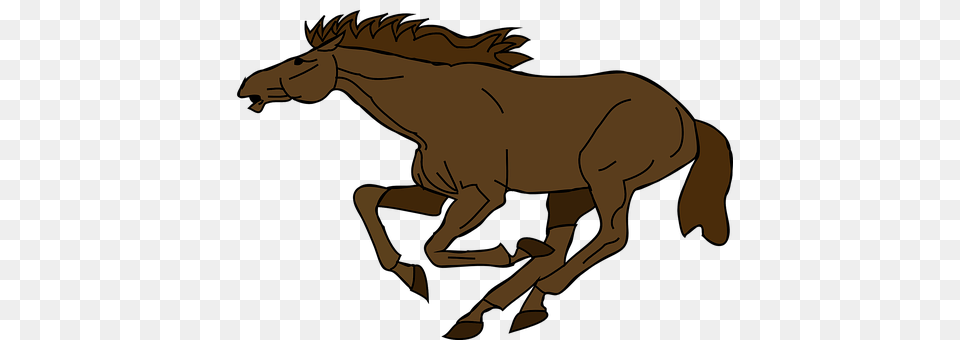 Horse Animal, Colt Horse, Mammal, Person Free Transparent Png
