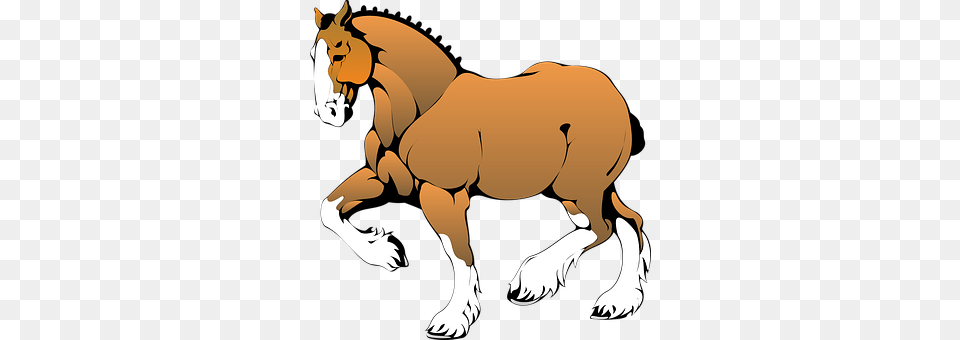 Horse Animal, Mammal, Person, Colt Horse Free Png