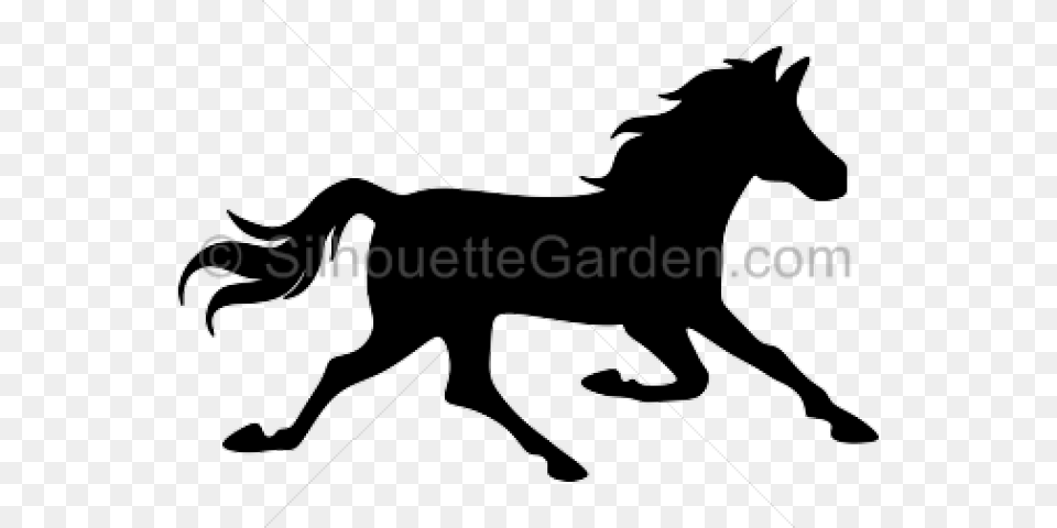 Horse, Silhouette, Animal, Colt Horse, Mammal Free Png Download