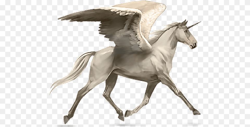 Horse Alado Aladus Cavalo Asas Wings Mikah014 Howrse Palomino, Person, Animal, Mammal Free Png