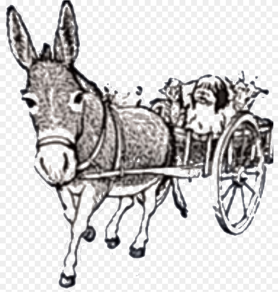 Horse And Buggy, Animal, Mammal Png