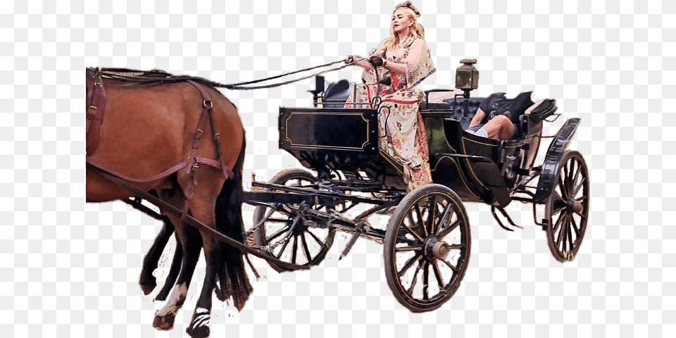 Horse And Buggy, Adult, Person, Woman, Female Free Transparent Png