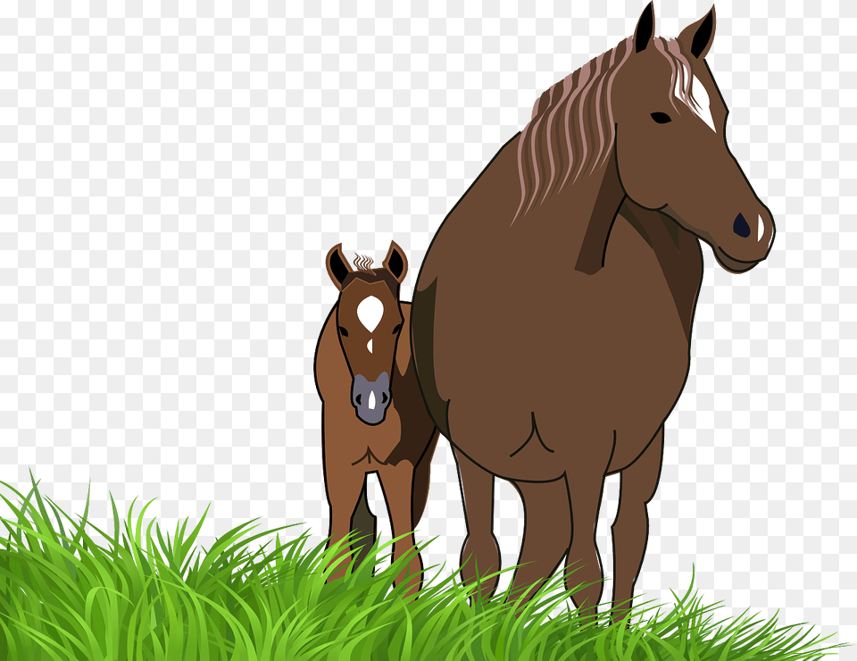 Horse And Foal Clipart, Animal, Colt Horse, Mammal Free Transparent Png