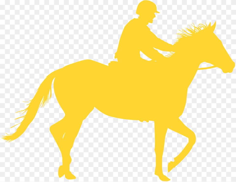 Horse And Jockey Silhouette, Adult, Male, Man, Person Free Png