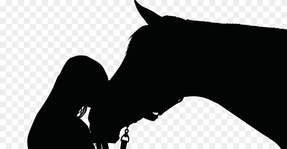 Horse And Person Silhouette, Animal, Mammal Free Transparent Png