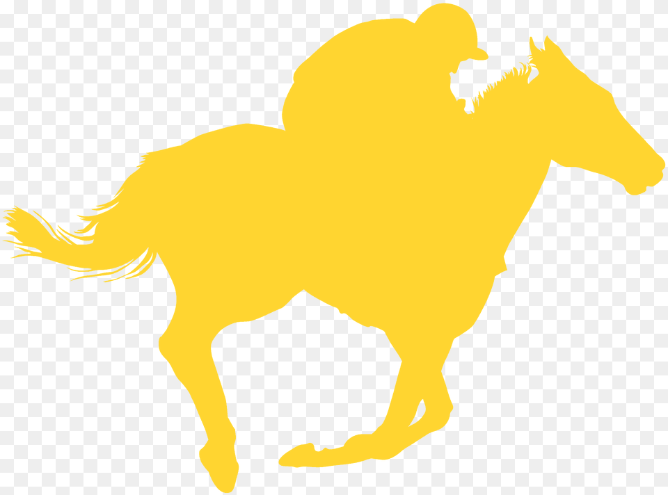 Horse And Rider Galloping Silhouette, Animal, Mammal, Pig Png Image