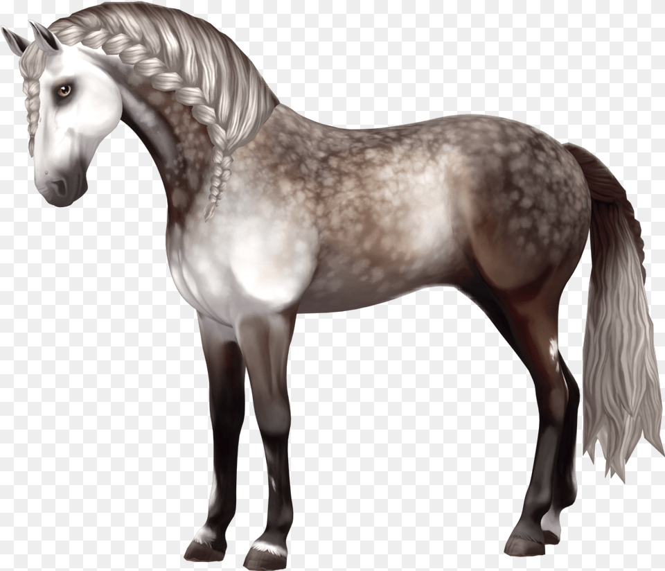 Horse Andalusian Andalusianhorse Starstable Starstableo Sso Andalusian, Animal, Mammal, Stallion, Andalusian Horse Free Png Download