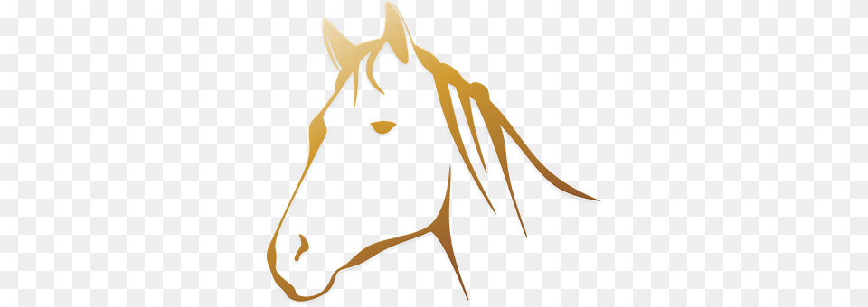 Horse Animal Horse Head Logo Black And White Horse Clipart, Mammal Free Png