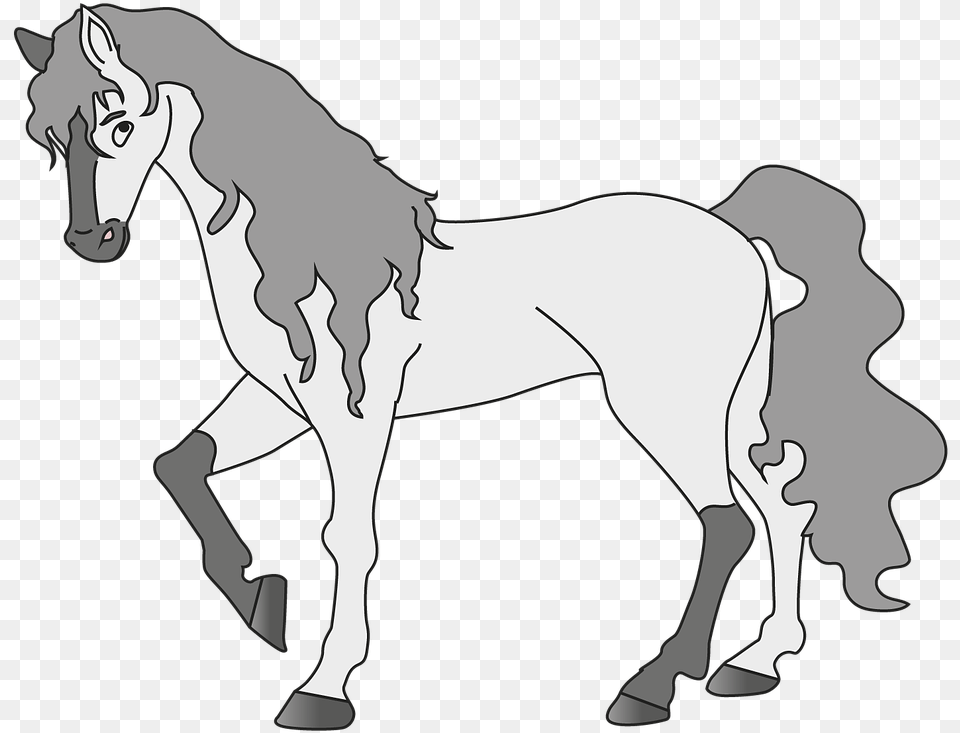 Horse Animal White Cartoon White Horse, Mammal, Colt Horse Free Transparent Png