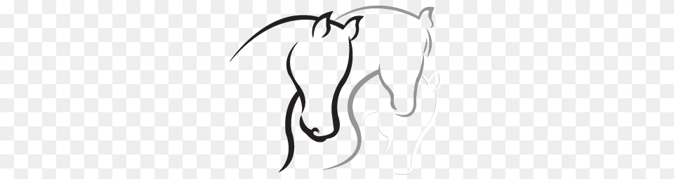 Horse Back Riding Clipart Clipart, Animal, Kangaroo, Mammal Free Transparent Png