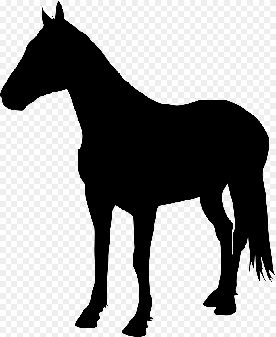 Horse Background Image Arts, Silhouette, Animal, Mammal, Colt Horse Free Png