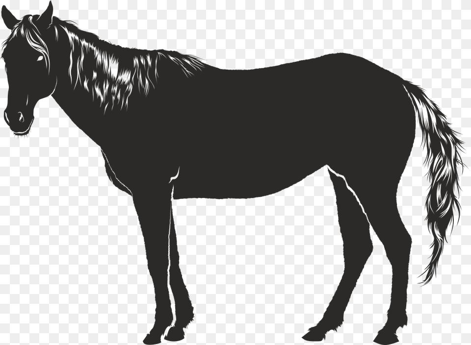 Horse Black Animal Silhouette Shadow Cavalo Sombra, Mammal, Colt Horse, Wedding, Person Png
