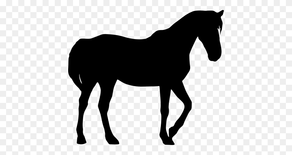 Horse Black Silhouette Icon, Gray Png Image