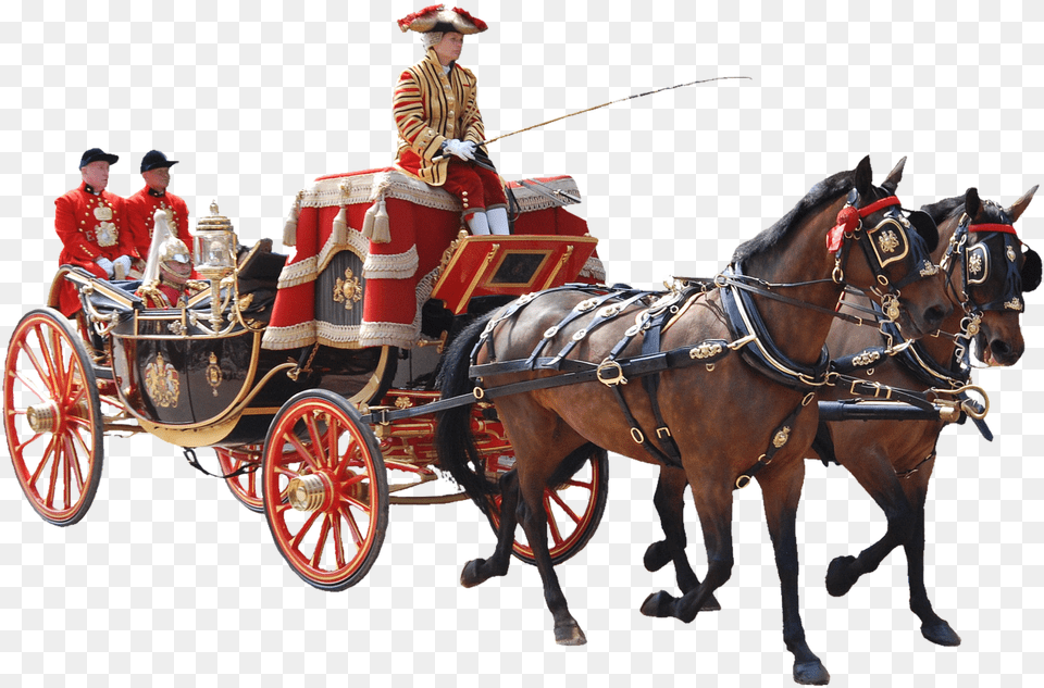 Horse Carriage Hd, Adult, Person, Woman, Female Free Transparent Png