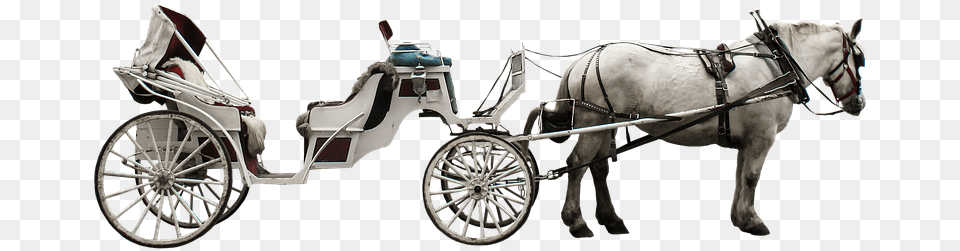Horse Cart Koets, Carriage, Vehicle, Transportation, Animal Png