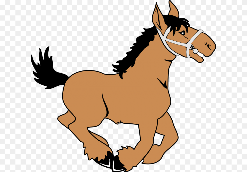Horse Cartoon Clipart, Animal, Colt Horse, Mammal, Face Free Transparent Png