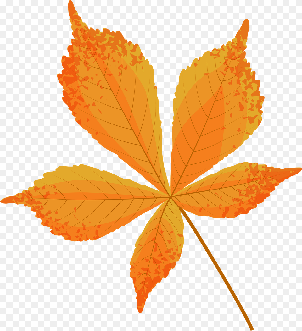 Horse Chestnut Late Autumn Leaf Clipart, Plant, Tree, Maple Leaf Free Png Download