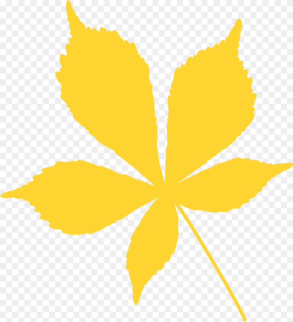 Horse Chestnut Leaf Silhouette, Plant, Animal, Fish, Sea Life Free Transparent Png
