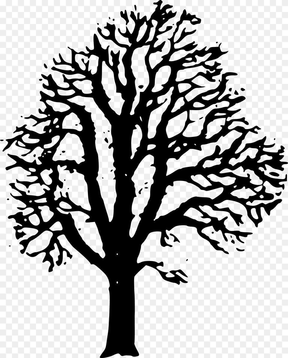 Horse Chestnut Tree Silhouette, Gray Png Image