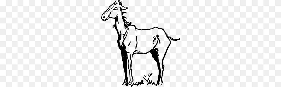 Horse Clip Art, Animal, Colt Horse, Mammal, Kangaroo Png