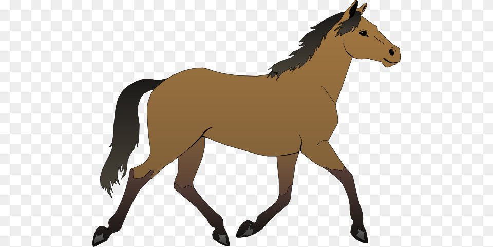 Horse Clip Art, Animal, Colt Horse, Mammal, Person Free Png Download