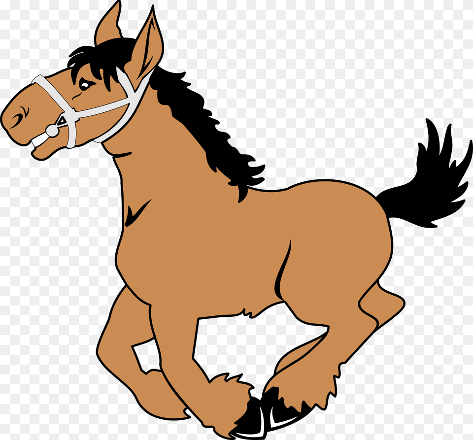 Horse Clip Art, Animal, Mammal, Colt Horse, Baby Png