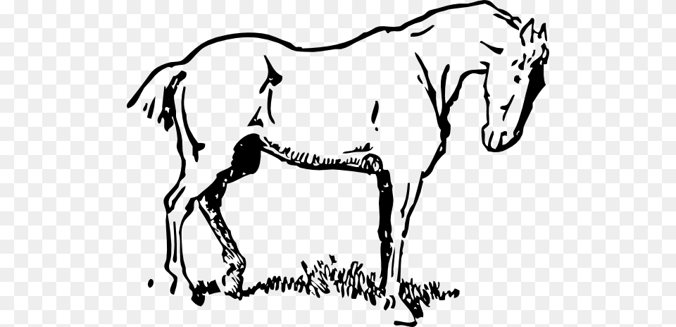 Horse Clip Art, Animal, Colt Horse, Mammal, Kangaroo Png Image