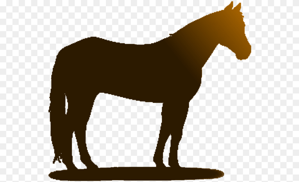 Horse Clip Art Clip Art, Animal, Colt Horse, Mammal Free Png