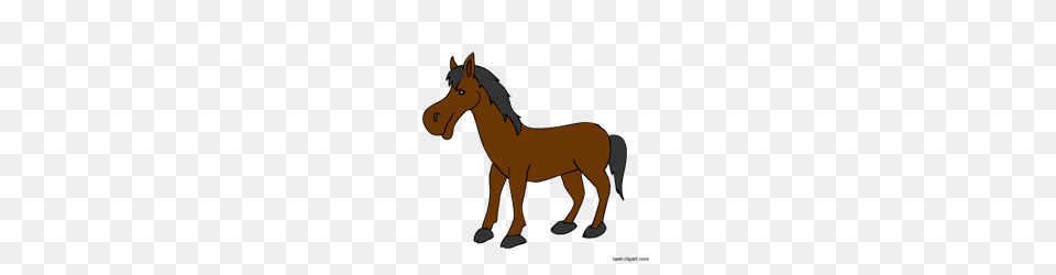 Horse Clip Art Clip Art For Teachers Classroom Lessons, Animal, Colt Horse, Mammal Free Png