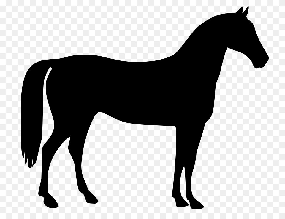 Horse Clip Art Clipartzo, Gray Free Transparent Png