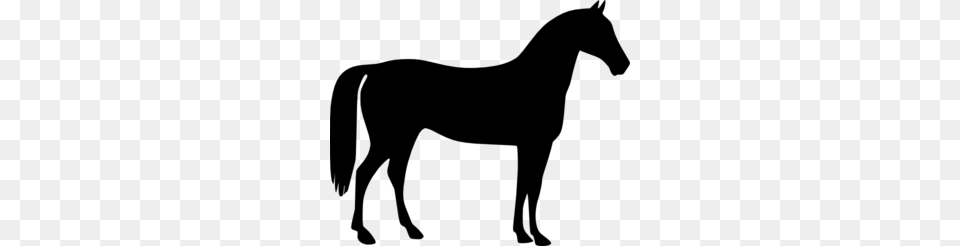 Horse Clip Art For Web, Gray Png Image