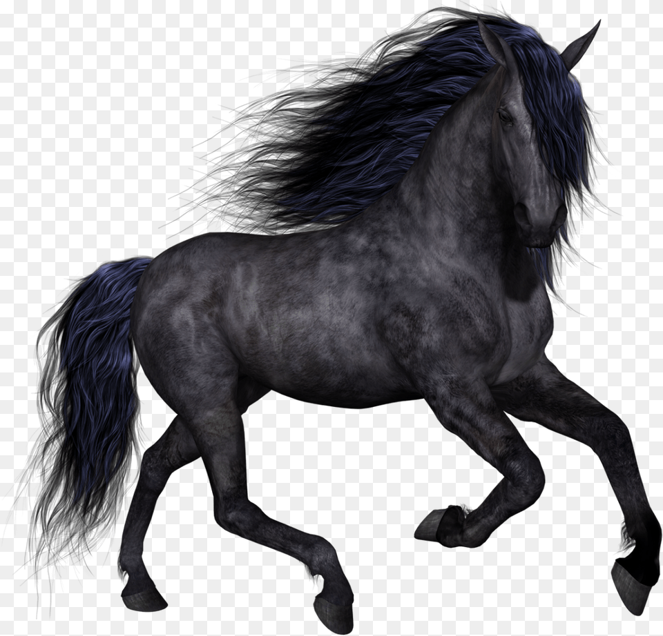 Horse Clip Art Transparent Black Horse, Andalusian Horse, Animal, Mammal, Stallion Free Png Download