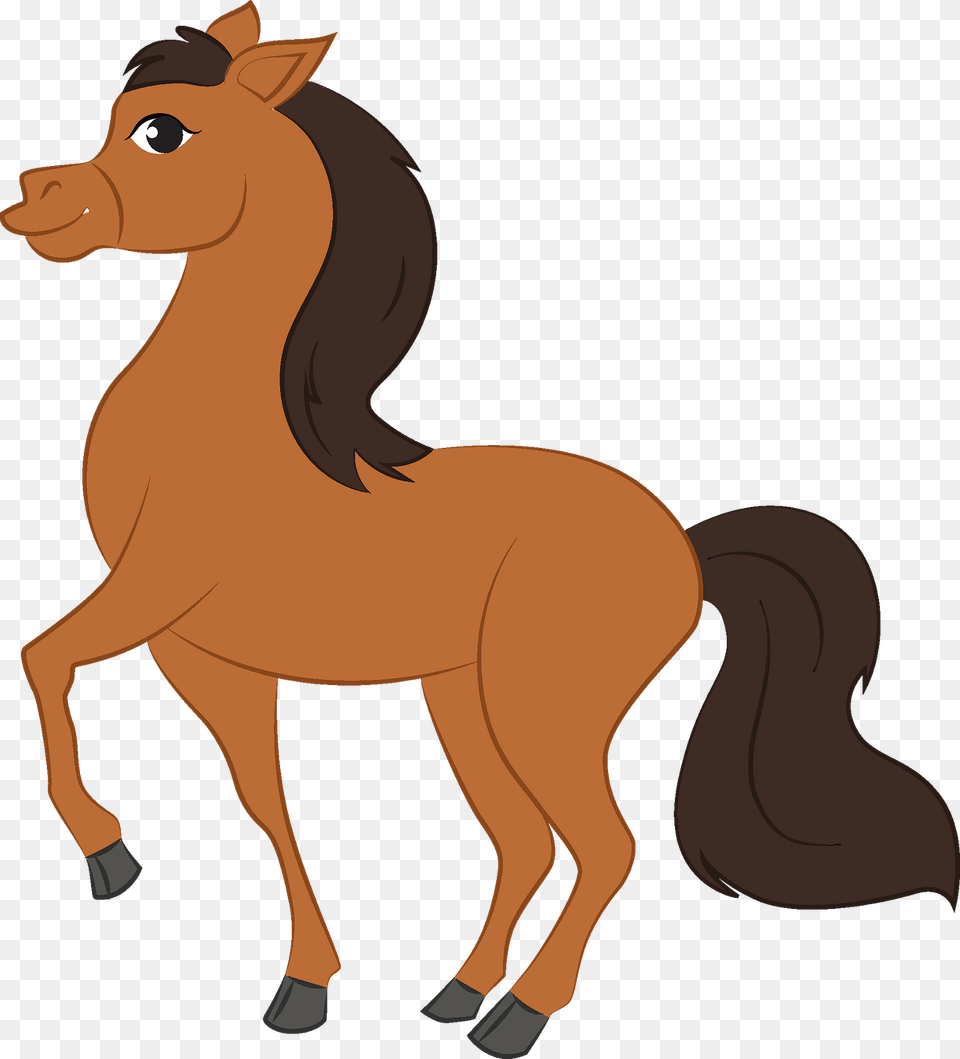 Horse Clipart, Animal, Colt Horse, Mammal, Kangaroo Free Transparent Png