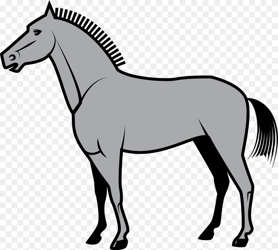 Horse Clipart, Animal, Colt Horse, Mammal Free Png