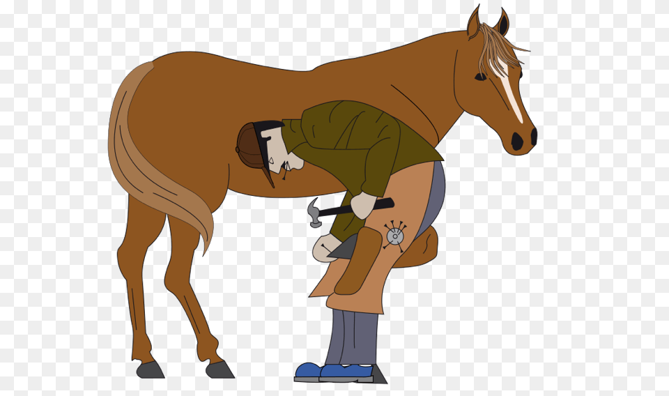 Horse Clipart, Doctor, Person, Animal, Colt Horse Free Transparent Png