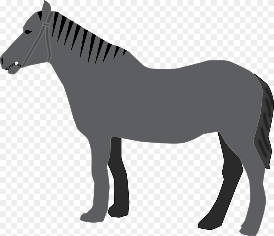 Horse Clipart, Animal, Mammal, Colt Horse, Canine Png
