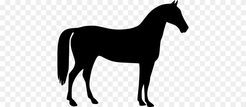 Horse Clipart, Silhouette, Animal, Colt Horse, Mammal Free Transparent Png