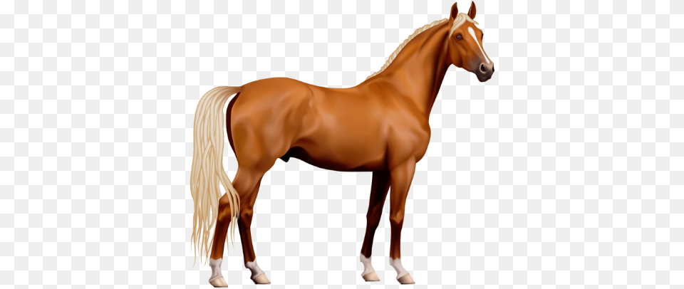Horse Clipart, Animal, Colt Horse, Mammal, Stallion Free Png Download