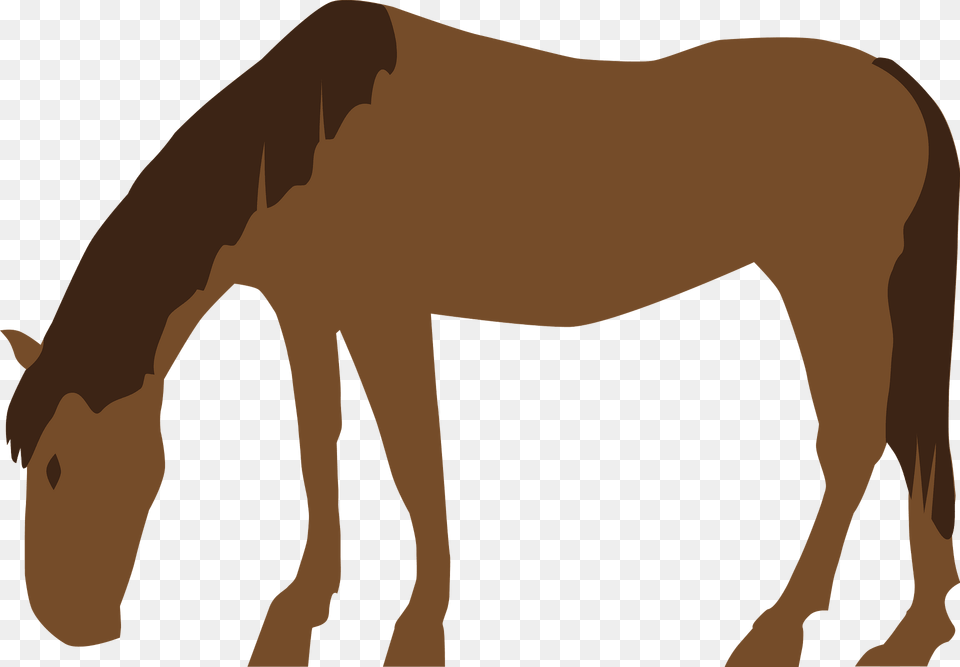 Horse Clipart, Animal, Colt Horse, Mammal, Person Free Png