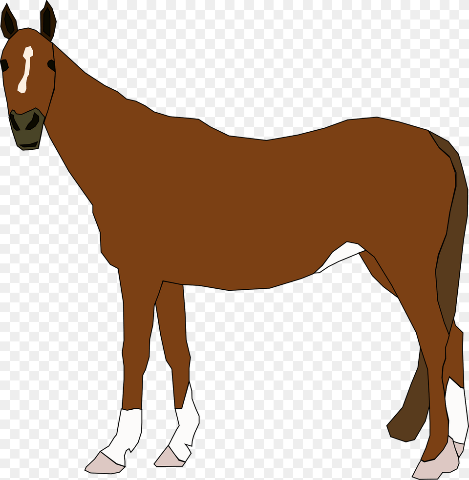 Horse Clipart, Animal, Colt Horse, Mammal, Kangaroo Free Png