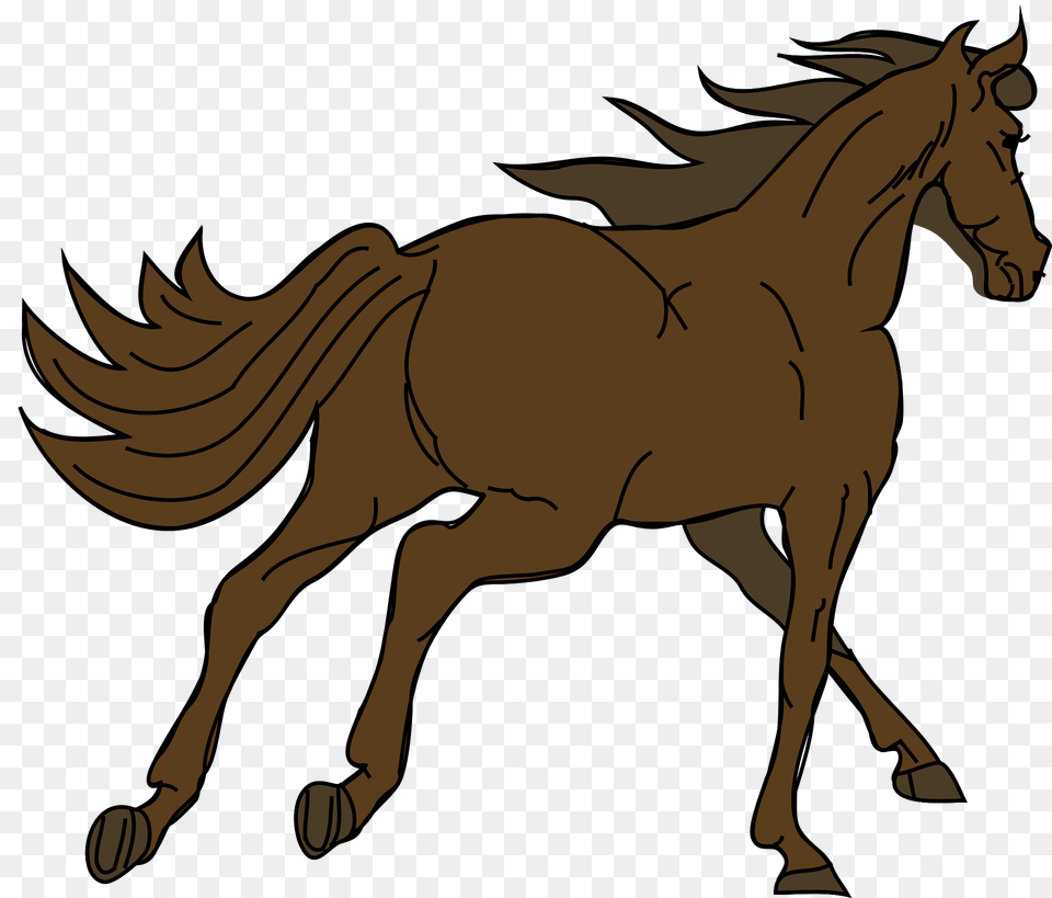 Horse Clipart, Animal, Colt Horse, Mammal, Person Free Png