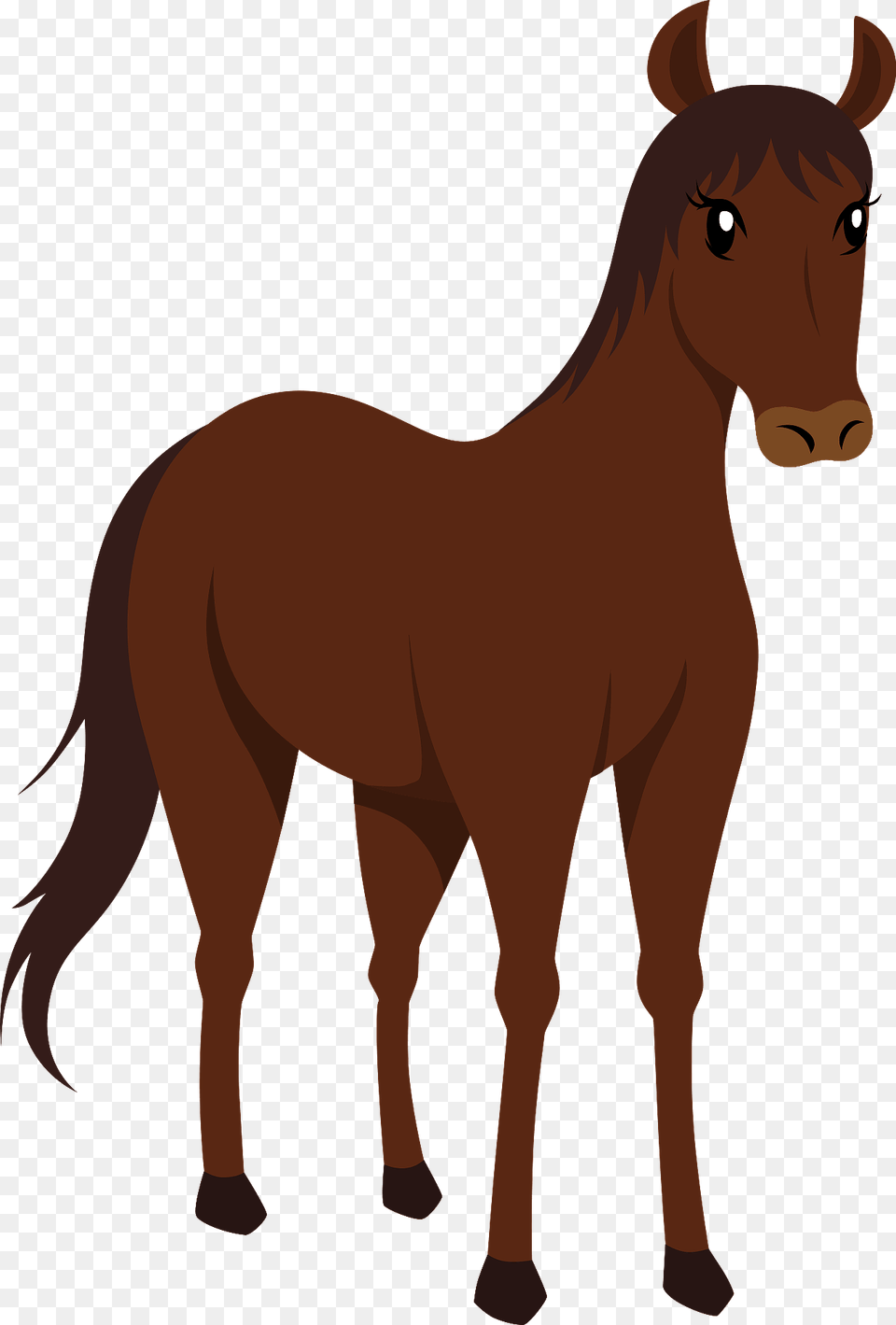 Horse Clipart, Animal, Colt Horse, Mammal, Face Free Transparent Png