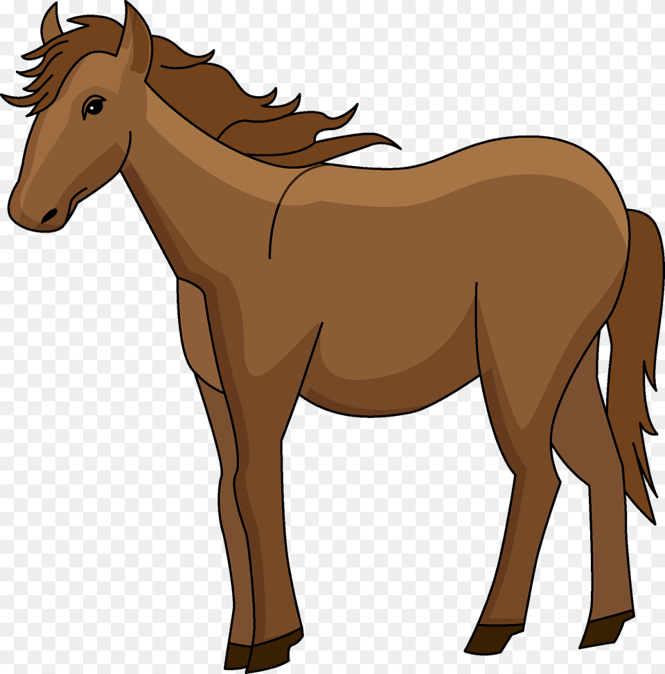 Horse Clipart, Animal, Colt Horse, Mammal Png